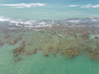 DJI_0008