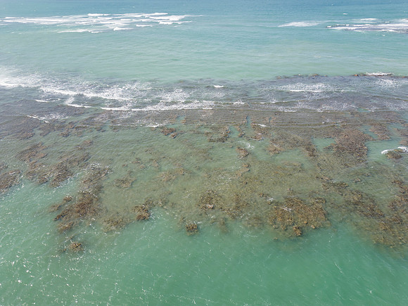 DJI_0008