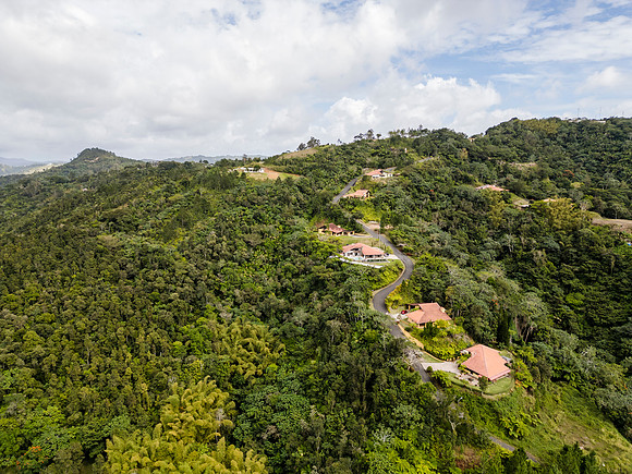 DJI_0020