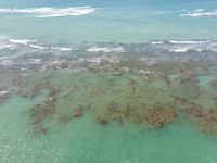 DJI_0009