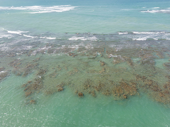 DJI_0009