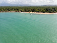 DJI_0010