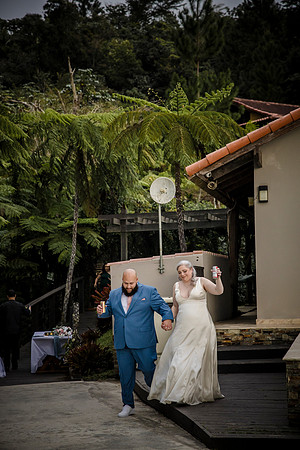 RFP11199