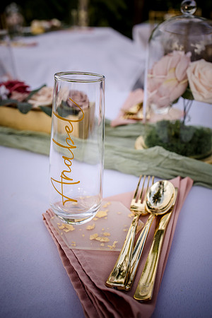 RFP23559