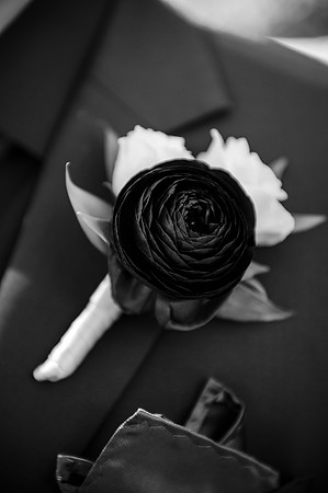 DSC_5943