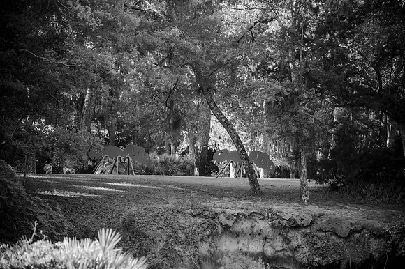 DSC_6264